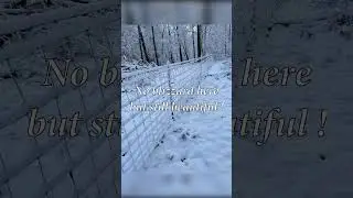 Winter wonder land!#snow #snowfall #farming #winter #farmer #farmlife #homestead #diy