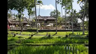 Luxury Village Resort 