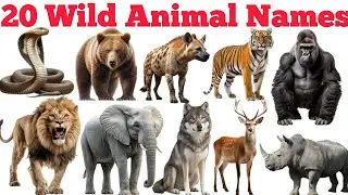 20 Wild Animals Names In English & Hindi With Fun Facts | Fun Learning For Children
