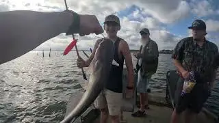 Quick trip of December catfishing in Texas 
