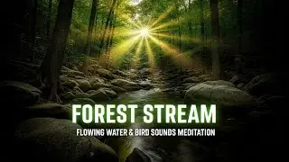 🌿 Forest Stream ASMR 🌞 Gentle Water & Birds Singing for Deep Sleep, Healing Meditation & Inner Peace
