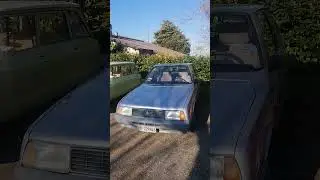 Citro&euml;n Axel e Citro&euml;n AMI 8