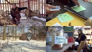 Alternative   Geldfreier Tauschkreis in der Uckermark