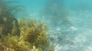 Test underwater Akaso V50X