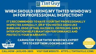 When should I bring my tinted windows in for professional inspection?
