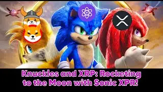 #Knuckles and #XRP: Rocketing to the Moon with Sonic #metalpay #XPR Proton
