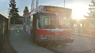 Calgary Transit 2003 New Flyer D40LF #7837 on Route 1 Forest Lawn 