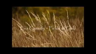 REACTION TO EVA CASSIDY - FIELDS OF GOLD - AUDIO VIDEO