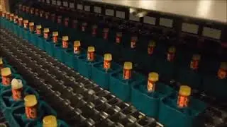 Apex Filling Systems- Molten Filler Lip Balm Line