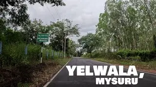 An evening bicycle ride in Yelwala, Mysuru | Ride with Me