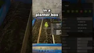 Как ЛЕГКО получить клонов бога в Rust! 🌱🙏