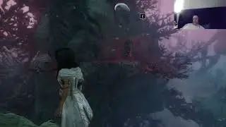Clair Obscur (expert difficulty): flying waters chromatic and paint breaker