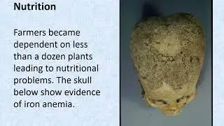 Early Neolithic Agricultural Revolution