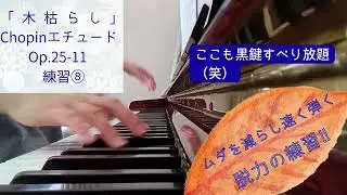 【脱力で速く弾く】ショパン「木枯らし」練習⑧エチュードOp.25-11