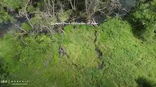 Small-Stream Habitat Mosaic Shaped by Beavers