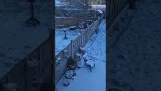 ❄️🌨️😍❤️#shorts #shortsfeed #sisterhouse #uk #snow #sunrays #winter #wintervibes #january #viral #fyp