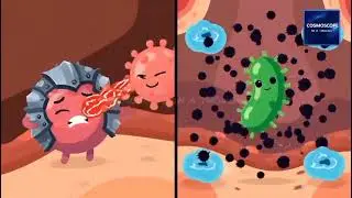 Viruses vs Bacteria: The Secret War Inside You(3-Minute Animated Explanation)