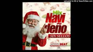 Mix Navideño 2025 Sin Sellos