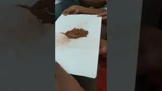 separation of iron pins from sand.