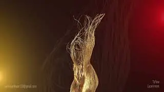 Tyflow Spline Experiment