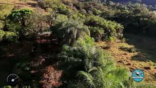 Voando no modo sport com o DJI neo