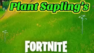 Fortnite - Plant Saplings at Stumpy Ridge, Fork Knife Food Truck, or FN Radio All Location's!