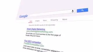 SEO Richmond hilll  Services with Shark Digital Marketing
