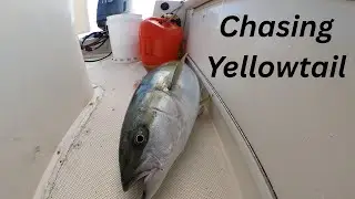 Wild Weather and Good Fishing at the Coronado Islands
