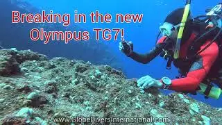 Breaking In the New Olympus TG7 Underwater Camera at Pebbles Beach, Captain Cook, Hawai'i 