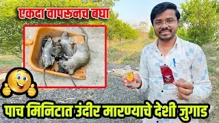 उंदीर मारण्याचे देशी जुगाड | घुस मारण्याचा घरगुती उपाय | Krushi manthan #उंदीर #घूस