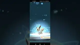 Shiny-Evoli zu Psiana entwickeln