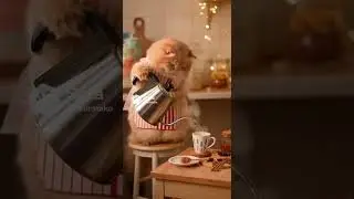 Чаепитие с котиком. #cat #милота #cute #милота #веселыекоты #funny  #прикольныекоты #funnycats