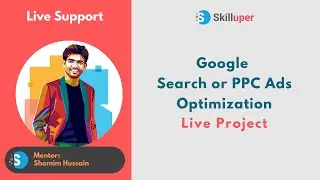 Live Support - Google Search or PPC Ads Optimization