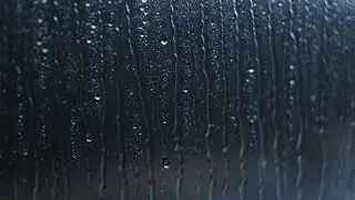 Rain Window ASMR | Gentle Rain | Soft Darkness | Deep Sleep | 3 Hours #56