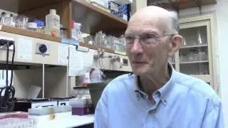 MSU Faculty conversations: Peter Wolk