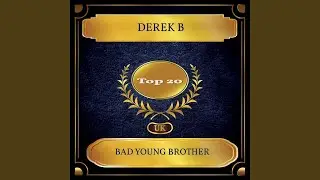 Bad Young Brother