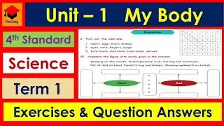 My Body- Exercises & Question Answers- 4th Standard- Science- Unit 1- Pages: 93 & 94- Term 1