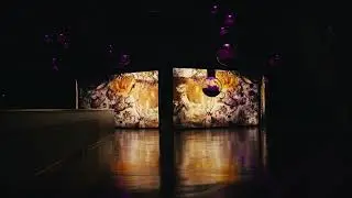 Was ist ein Garten, ein Habitat, eine Sphäre, ein „Cave“? Hito Steyerl. Animal Spirits