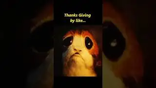 Thanksgiving 2024 be like&hellip; 🤣🤣 #starwars #thanksgiving #porg