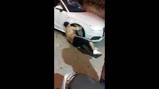 اقوي رجل في بجاية [ zinou la puissance en direct à bejaia a cité Dallas  ]