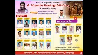 श्री. भैरी डाकरोबा चिखली गुठठा प्रेमी कोदे खु. ओपन गट बैलगाडा स्पर्धा 2025 | गगनबावडा ता बैलगाडा सं