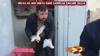 Beyaz da son nokta Emre kardeşim kuşları ile pazartesi günü saat 21.30 YouTube Zafer Arıkan Kuşcu 