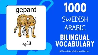 Learn Swedish Arabic 1000 Bilingual Vocabulary for Beginners   Lära sig Svenska Arabisk 1