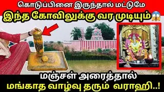 கொடுப்பினை இருந்தால் மட்டுமே இந்த கோவிலுக்கு வர முடியும்😱மஞ்சள் அரைத்தால் மங்காத வாழ்வு தரும்  வராஹி