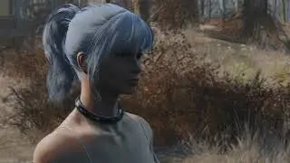 Fallout 4 Modded - 0001 Synth Followers.