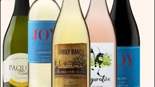 Wine tasting party Jan 8 for Wineshop at home consultant Em Silverness
