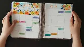 June 2018 Plan With Me Feat. MCrystalPrints