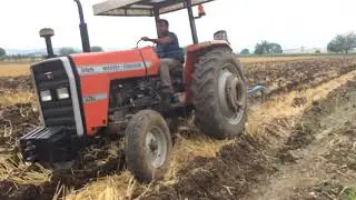 Massey Ferguson 265 Tarla sürümü