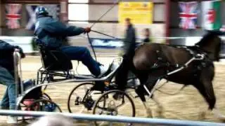 Ardingly 2009 Juniors    Carriage Driving