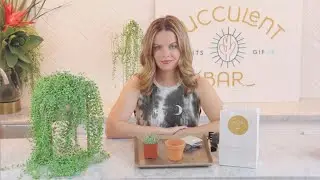 Succulent Planting Demo
